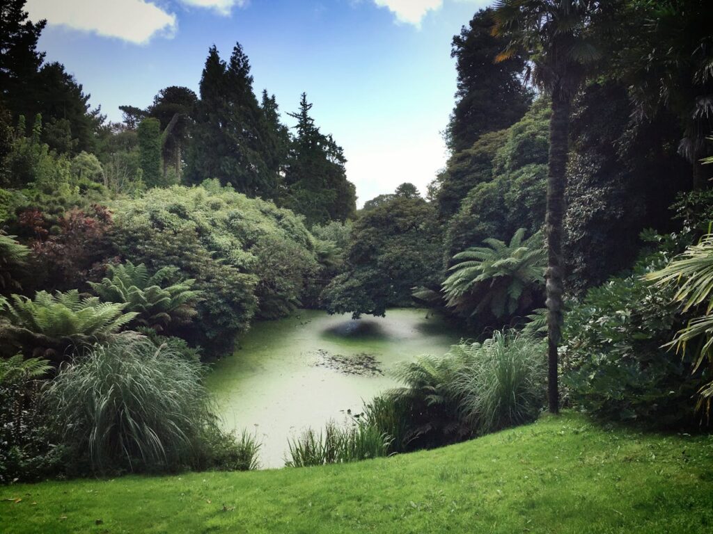 Groene oases in huis: alles over de beautanic lifestyle
