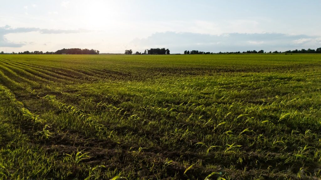 Landelijk leven: rust en ruimte om je heen