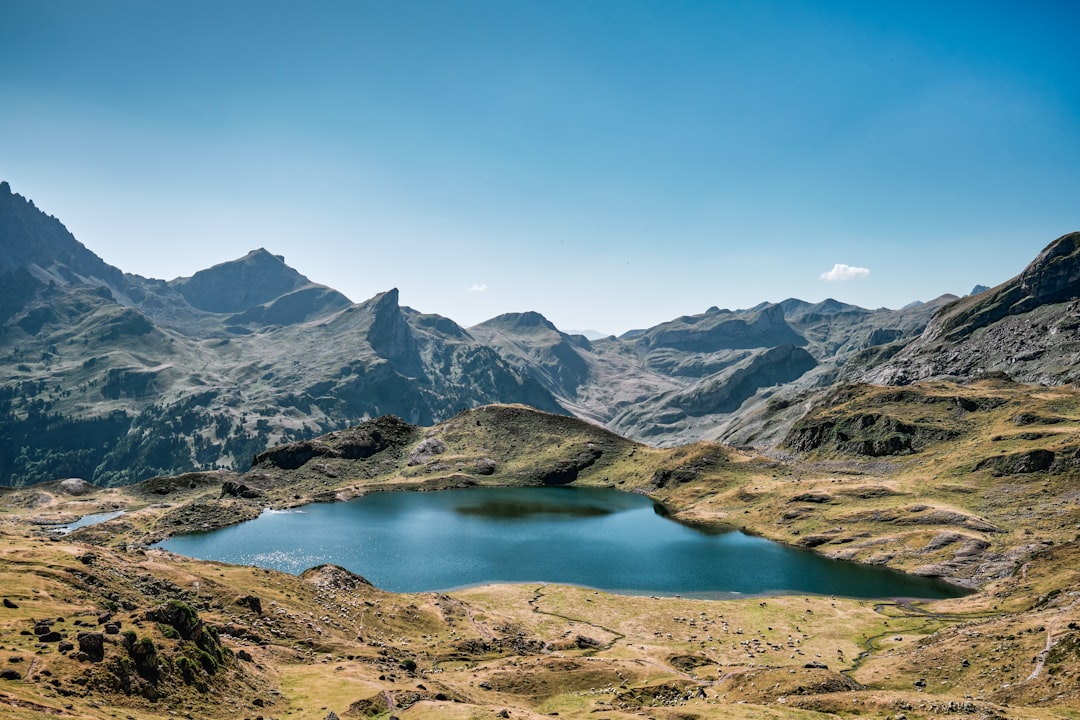 Onbekend telefoonnummer +31 316 72 81 21: dit moet je weten